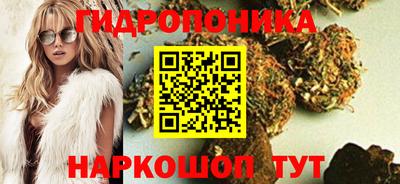 крисы Котовск